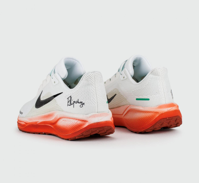 nike-air-zoom-pegasus41-eliud-17329-3