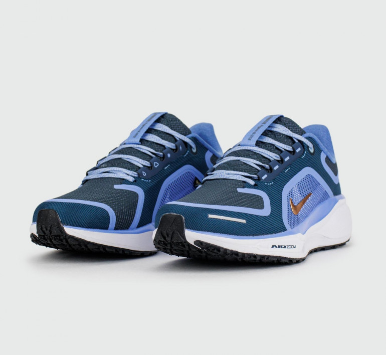 nike-air-zoom-pegasus41-gtx-cobalt-s26104-2 nike-air-zoom-pegasus41-gtx-cobalt-s26104-2