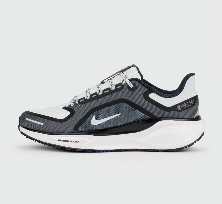nike-air-zoom-pegasus41-gtx-iron-grey-s26105
