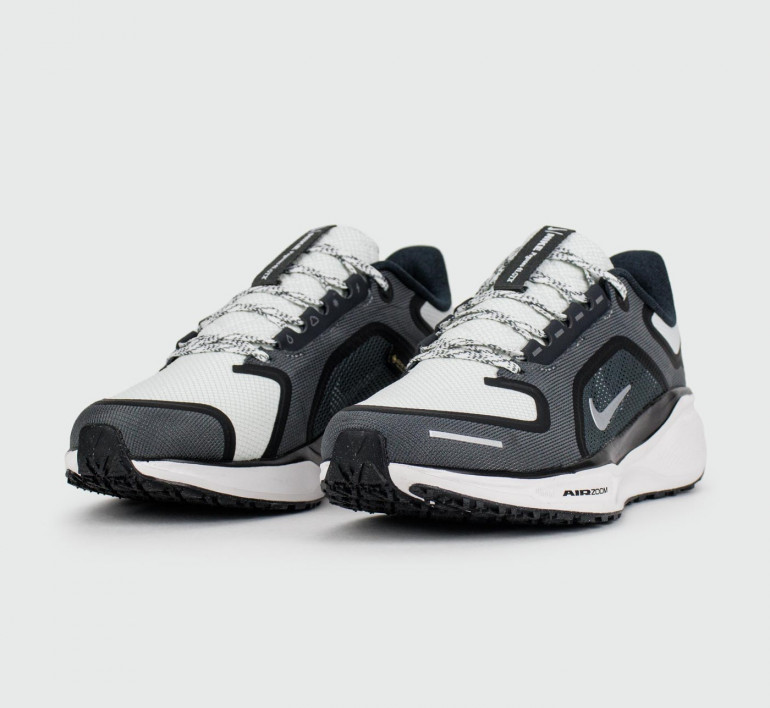 nike-air-zoom-pegasus41-gtx-iron-grey-s26105-2