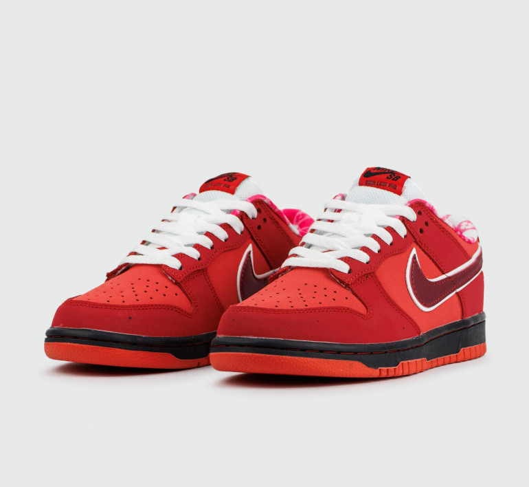 nike-dunk-low-sb-red-15211-2