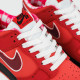 nike-dunk-low-sb-red-15211-5